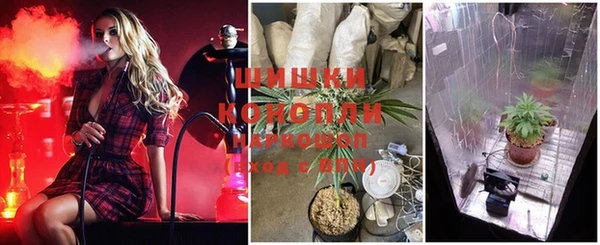 стаф Баксан