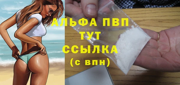 стаф Баксан
